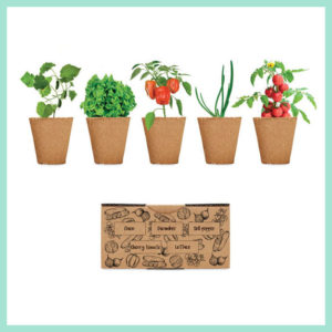 caja con 5 macetas con plantas de huerto